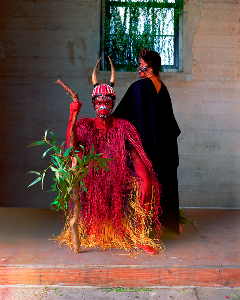 Untitled (Firebird)